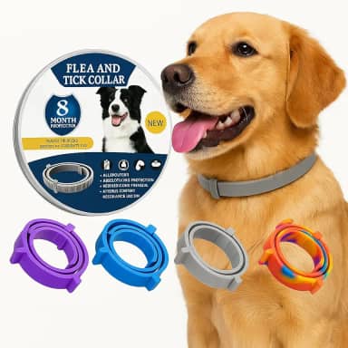 Coleira Anti Pulga Leishmaniose Carrapato Mosquito Cão Gato 62cm (Colorida, 62cm)
