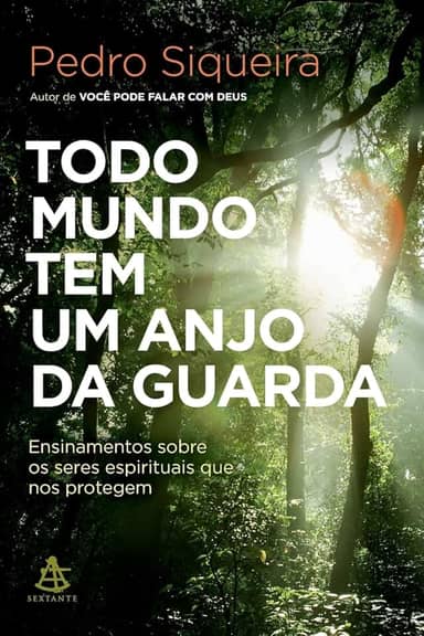 Todo mundo tem um anjo da guarda: Ensinamentos sobre os seres espirituais que nos protegem