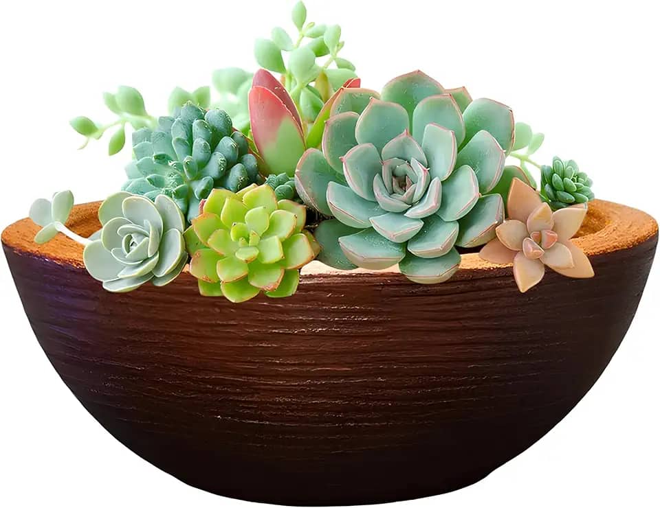 Vaso Para Suculentas Bacia Em Polietileno Grafiato