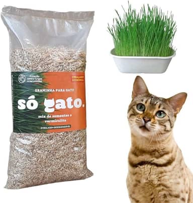Graminha Mix Para Gatos - Embalagem Econômica - Petisco 100% Natural - SóGato
