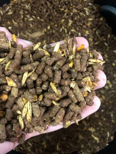 Ração Melaçada Para Cavalo 15% Proteína Trotte Mix Aveia e Milho. (4 KG)