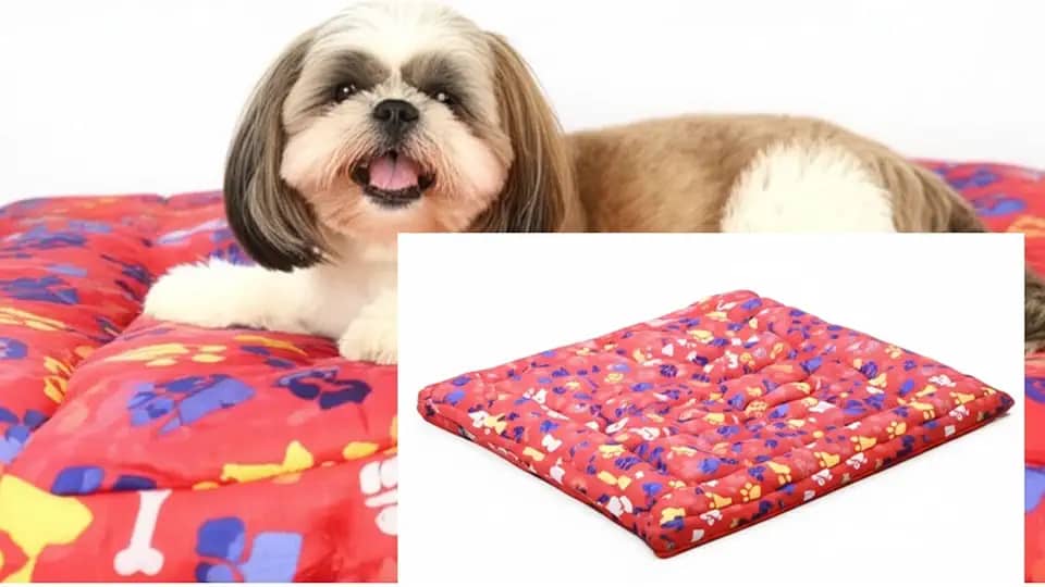 Cama Pet Luxo para Cachorros e Gatos – 43x63cm – Confortável, Acolchoada, Ideal para Shih Tzu, York, Poodle e Gatos – Antiderrapante, Design Colorido e Aconchegante