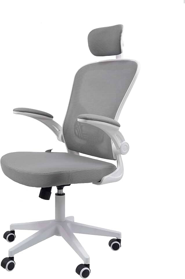 Cadeira Ergonômica Eurynom, Giratória, para Escritório e Home Office, com Encosto Reclinável, Braços Pivotantes, Apoio de Cabeça, Apoio Lombar (Cinza)