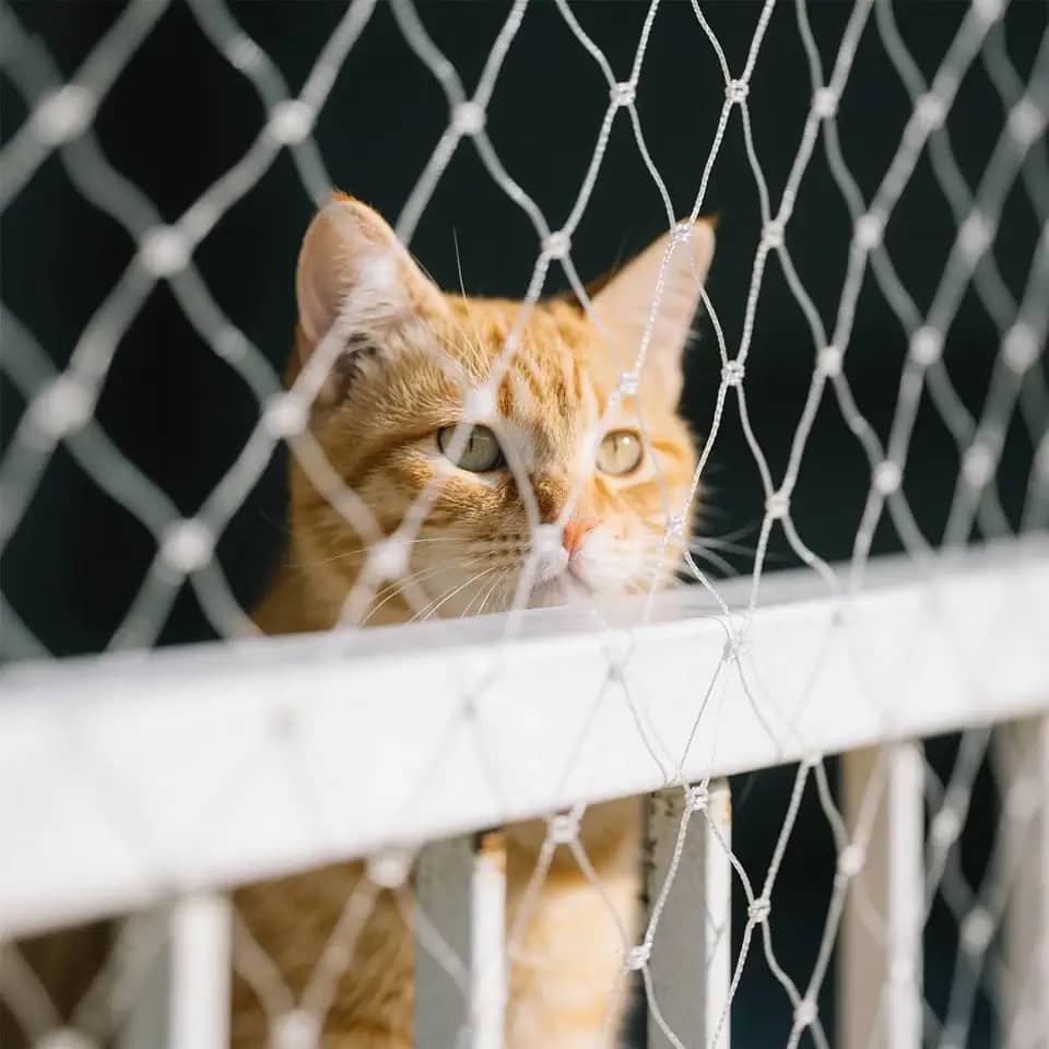 Rede de segurança para gatos para janela de varanda rede de proteção transparente 10 x 3 m para gatos, animais de estimação, anti-escape, cerca de segurança invisível, inclui conjunto de fixação
