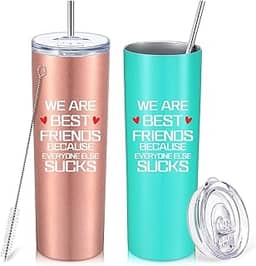 2 pacotes de melhores presentes de copo de amizade para mulheres, presentes engraçados de aniversário para irmã, melhor amiga, melhor amiga, senhora, ela, amigas, colegas de quarto, copo a vácuo amigo