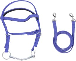 Rédea de Freio de Cavalo, Cabeça de Cavalo Ajustável Elegante de Nylon Com Rédeas, Freio de Sobrancelha, Freio de Adestramento para Passeios Em Trilha, Suprimentos Equinos