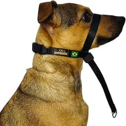 Coleira Cabresto Para Cachorro Com Guia Anti Puxão Adestramento Ajustável Com Trava (Preto, M)