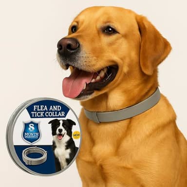 Coleira Antipulgas Natural para Cães 63cm Cinza – Proteção de até 8 Meses + Lata de Alumínio – Óleos Essenciais - Coleira Antipulgas e Carrapatos para Cachorro