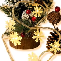 Pisca Pisca Cordão de Luzes LED Floco de Neve 10 Metros USB Controle Remoto À Prova D'água Multicores Impermeavel Natal Colorido Amarelo Branco