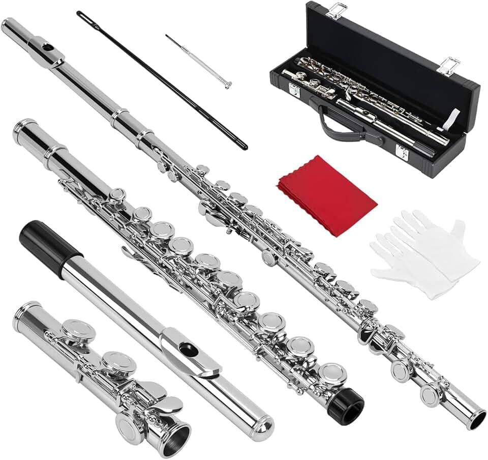 16 Furos Flauta Transversal (Mala), Kit Flauta Transversal Prateada Dó, Furos Flautá Transversal