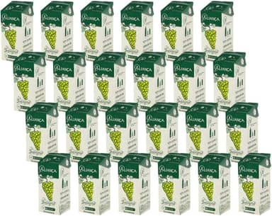 100% Suco Integral De Uva Branco Sem Adição Açúcar - Fardo Com 24 Und 200ml Caixinha Canudinho Lanche Merenda Escolar - Aliança