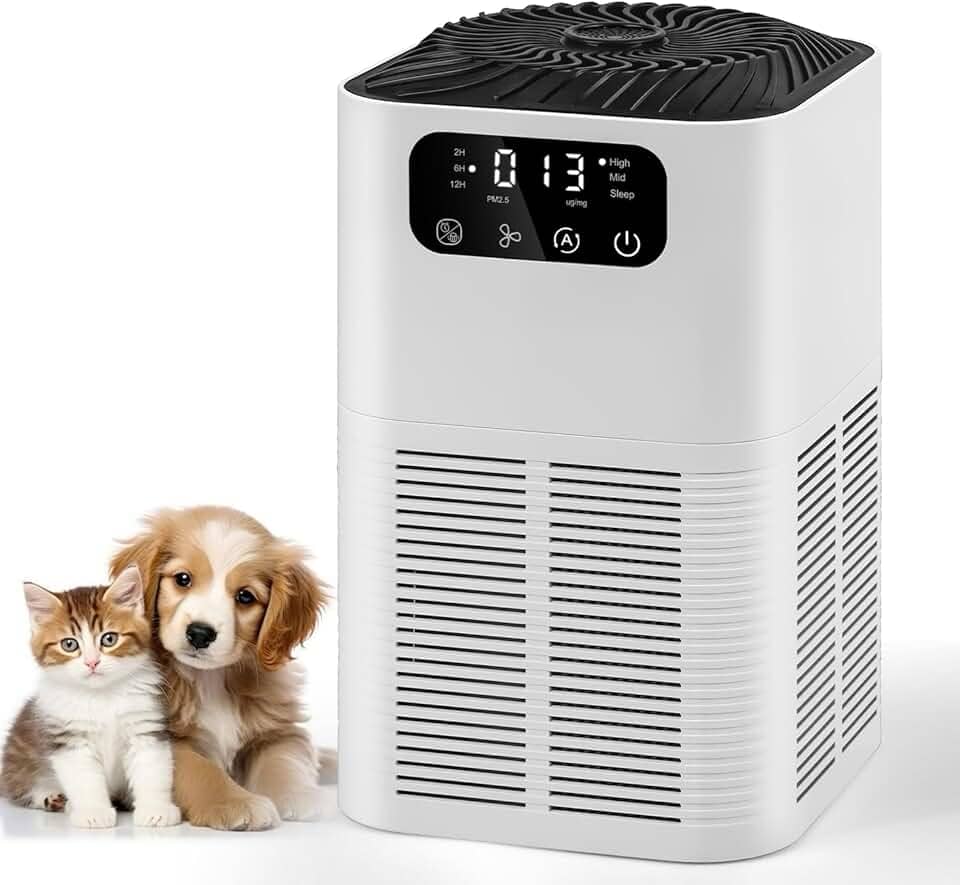 Purificador de Ar para Quarto, Purificador de Ar para e Animais de Estimação, Purificador de Ar Compacto, Ionizador de Ar Negativo, Purificador de Ar para Fumo