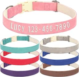 Coleiras de cachorro bordadas personalizadas com nome e número de telefone do animal de estimação, coleiras de tamanhos ajustáveis personalizadas com fivela de liberação rápida e anel em D para cães