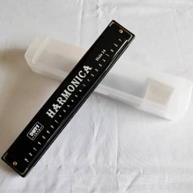 Gaita de 24 furos em chave C, gaita tremolo colorida para iniciantes, autoestudo e presente (preto)