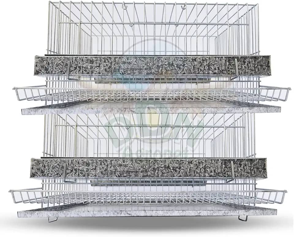 Kit 2 Gaiola Codorna Mini Chinesa Viveiro Bateria 30 Poedeiras Completa