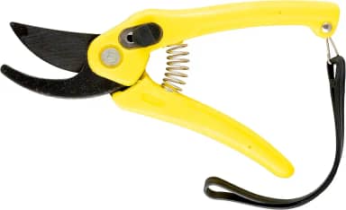 Eda Tesoura de Poda para Jardinagem 7'