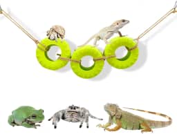 DGHAOKI Acessórios de escalada de caranguejo eremita decoração para tanque de répteis balanço de pneu para caranguejo eremita camaleão leopardo lagartixa sapo lagarto pulando aranha