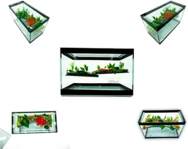Aquário Terrário N2 Vidro Decorado 25x12x15 Peixe Tartaruga