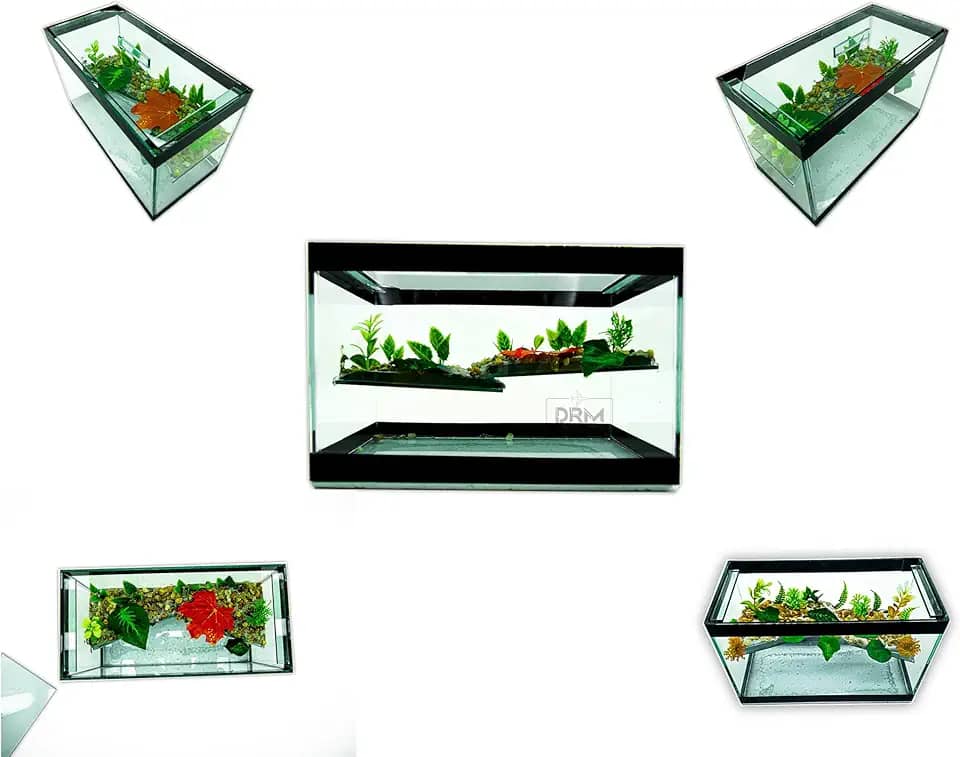 Aquário Terrário N2 Vidro Decorado 25x12x15 Peixe Tartaruga