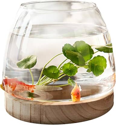 Aquário de vidro com base de madeira - aquário transparente para peixe betta/peixe-dourado, vaso hidropônico, tanque de mesa, terrário Art Deco para decoração de casa