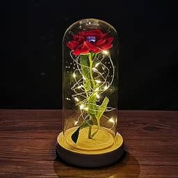 ZWMBYN Presentes de Dia dos Namorados Rosa A Bela e a Fera para ela, Acenda para sempre Galaxy Rose em cúpula de vidro, flor artificial rosa de vidro presente para mulheres no aniversário,