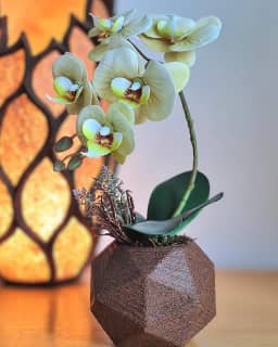 Vaso de orquideas artificiais delicadas Oliva.