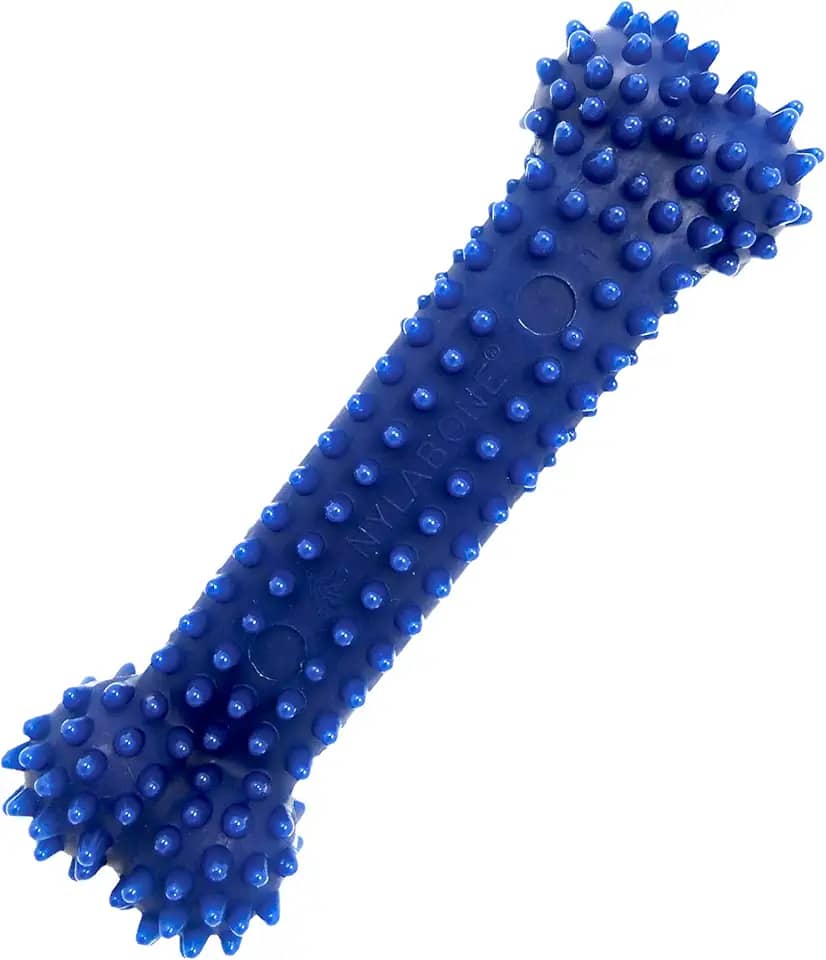 Nylabone Brinquedo texturizado para mastigar ossos dentários flexi para cães, brinquedos para cães para mastigadores moderados, sabor de frango, PP - até 6,8 kg, 1 unidade