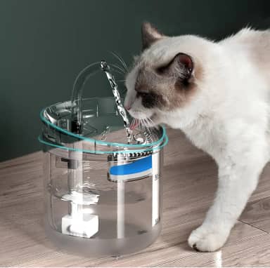 Bebedouro Tipo Fonte Com Filtro, Fonte Bebedouro de água para Gatos, Bebedouro para Animais de Estimação - Design Ergonômico, Portátil- 1,8L de Capacidade