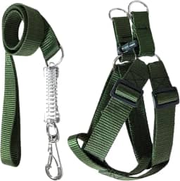 Coleira Peitoral Americano Para Cachorros Médio Grande Ajustável (Verde, G (30mm))