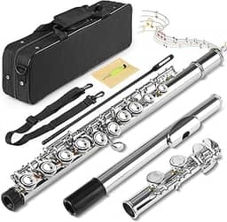 16 Furos C Flauta Chave Fechada, Kit Flauta Transversal Prateada Dó, Flauta Transversal Niquelada 16 Chaves, Flauta de Furo Fechado Banhado a Níquel, Orifício Fechado C 16 Instrumento de Flauta