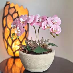 Orquídeas- Arranjo Cedro com orquídeas artificiais em tons suaves de rosa com vaso.