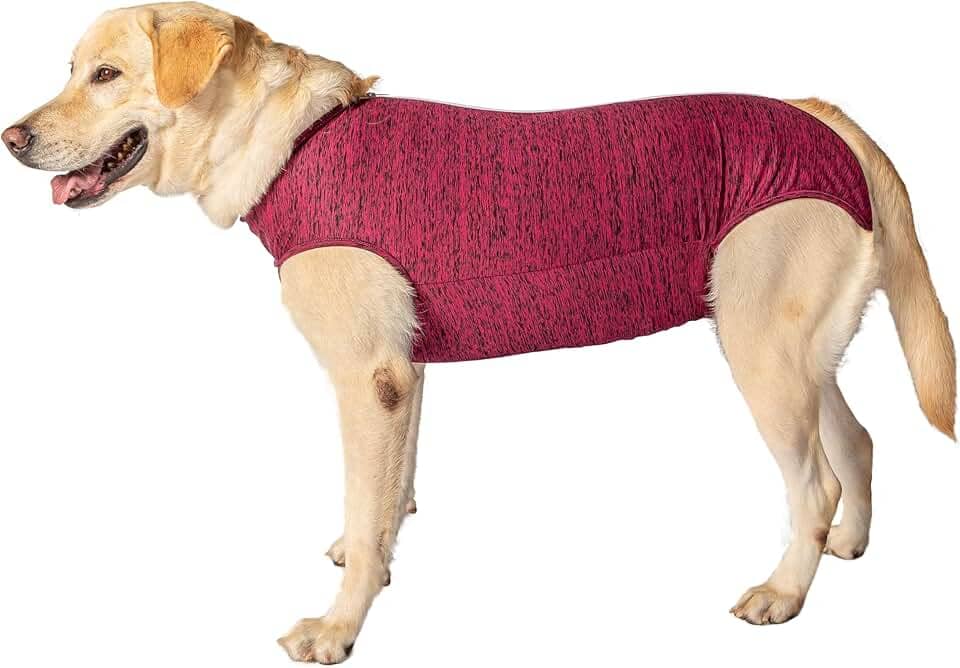 Roupa pós-cirúrgica para castração de cães fêmeas - Tam 05 - peso 5,5 kg a 7kg - Pet Designer