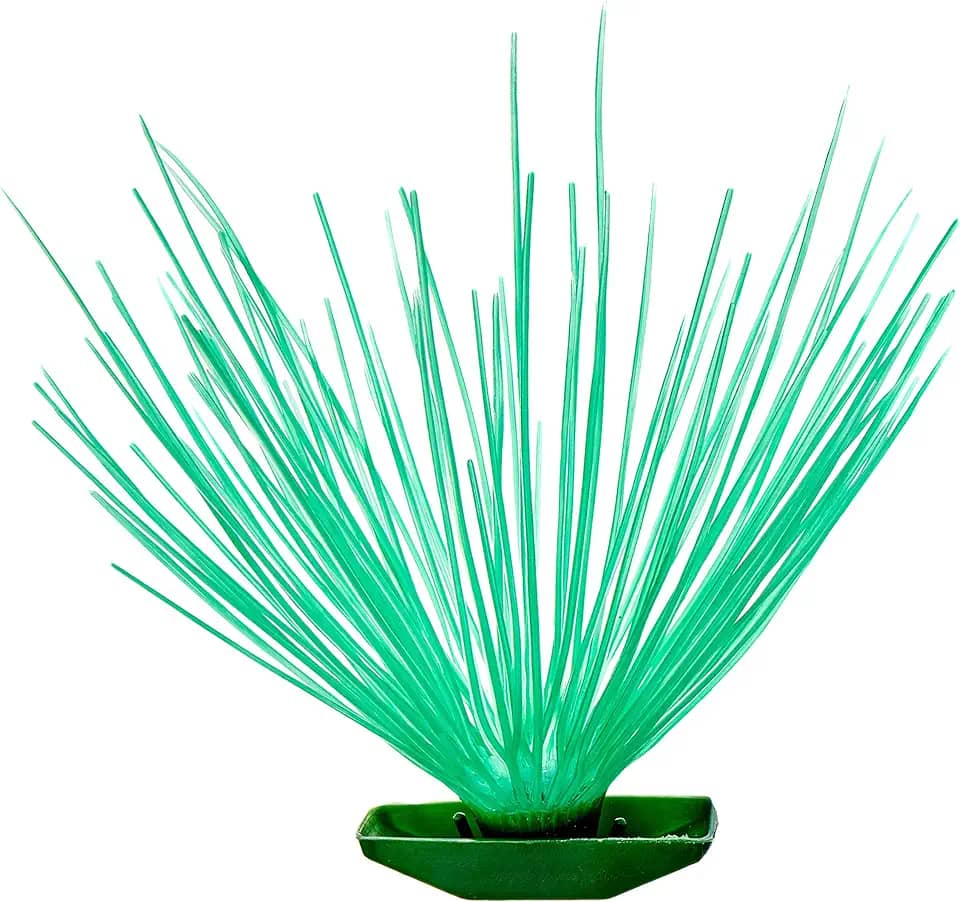 Tudo Pet Acorus Simples Para Peixes