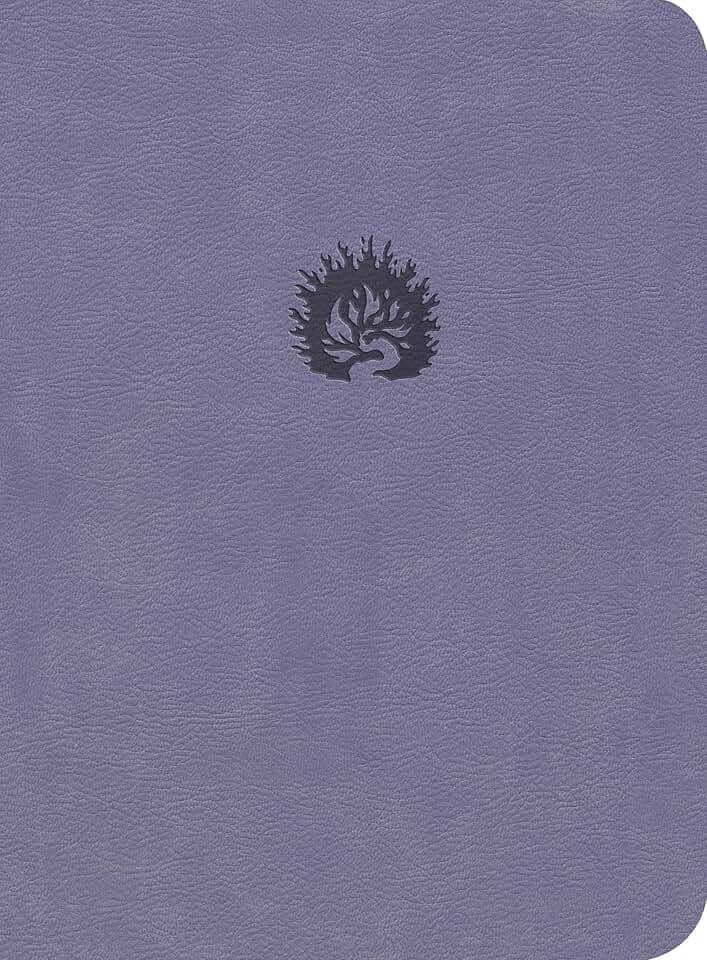 A Bíblia de Estudo da Fé Reformada: Capa Luxo Lavanda e Estojo