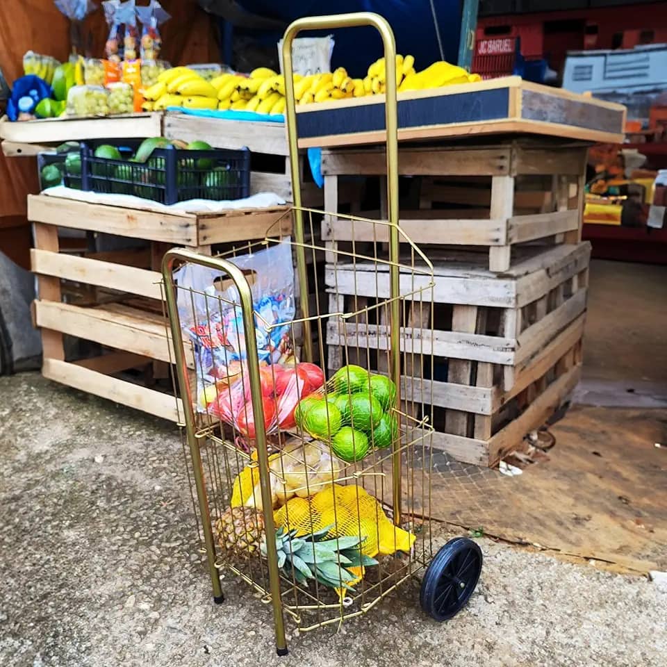 Carrinho de Compras Dobravél para Feira e Supermercado 4 Tubo PRATA com 2 Rodas Reforçadas Águia (Dourado)