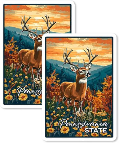Ímã do Estado da Pensilvânia 10 cm, 2 unidades, vinil, para lembrança, presente, geladeira, geladeira, lava-louças, ID 44999
