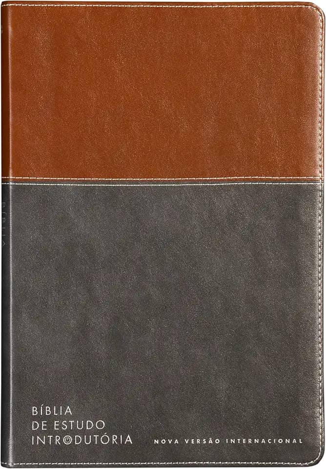 Bíblia de estudo introdutória, NVI, Couro-soft marrom e cinza chumbo, Leitura Perfeita