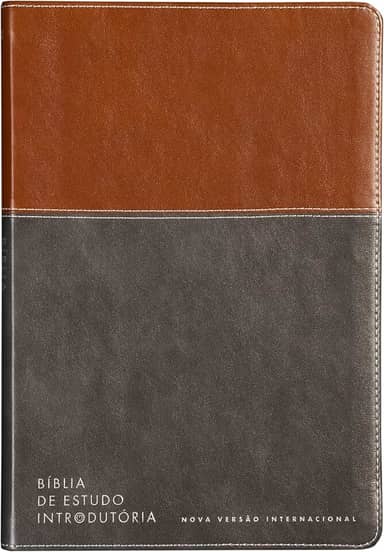 Bíblia de estudo introdutória, NVI, Couro-soft marrom e cinza chumbo, Leitura Perfeita