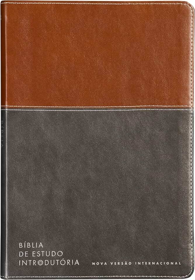 Bíblia de estudo introdutória, NVI, Couro-soft marrom e cinza chumbo, Leitura Perfeita