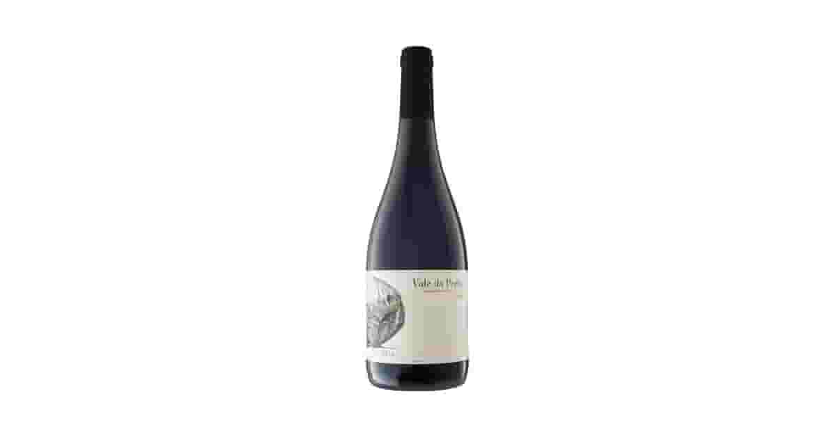 Melhor Syrah Brasileiro: Guia de Degustação Essencial