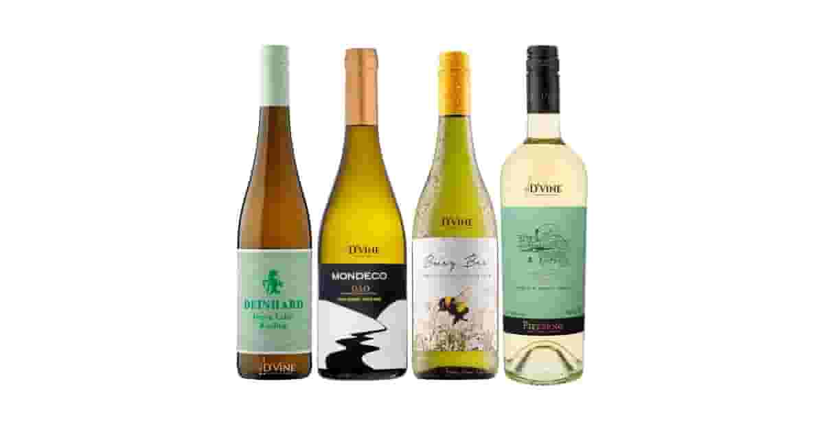 Melhor Vinho do Mundo Barato: 5 Opções com Sabor Premium