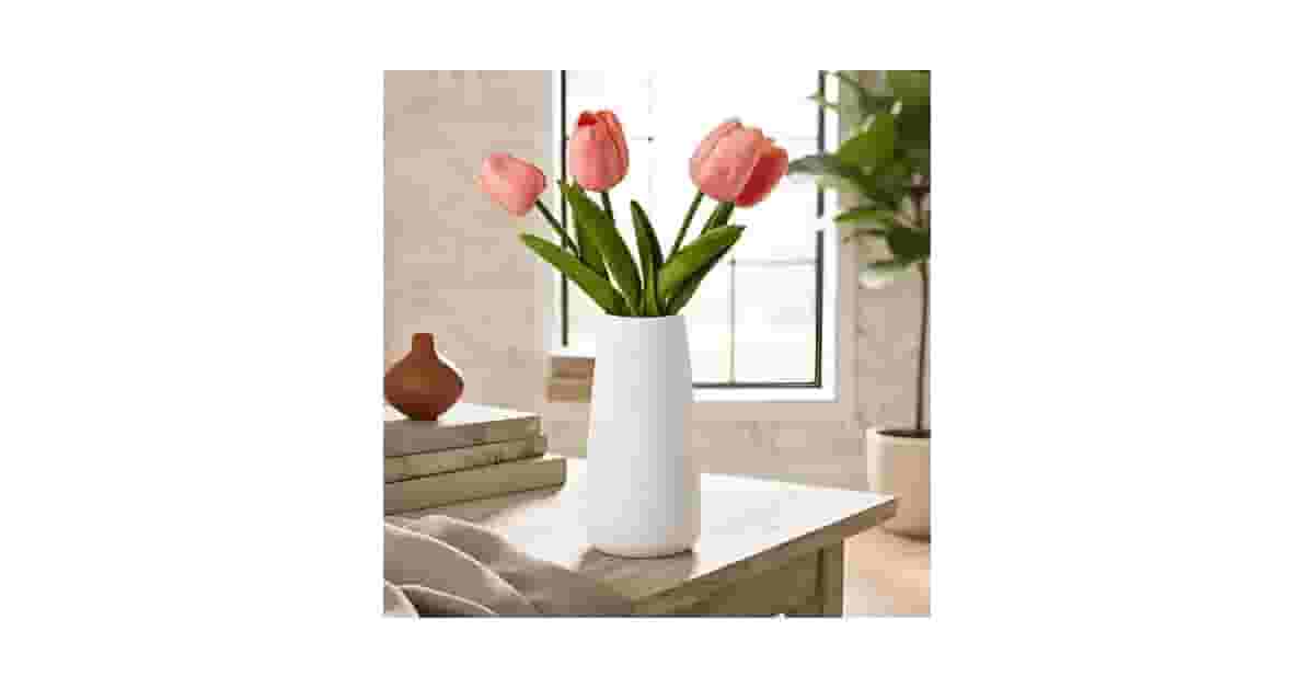 Qual o melhor vaso de cerâmica para decoração? Guia