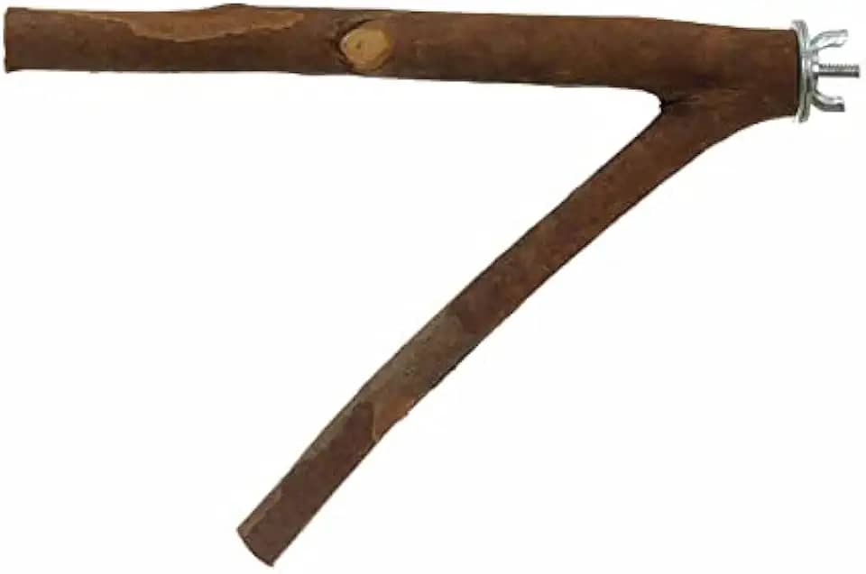 Poleiro Bragança Galho Natural Forquilha para Pássaros