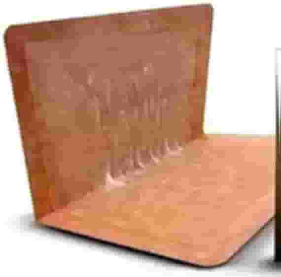 Ratoeira Armadilha Cola Pega Mata Rato | Caixa 20 Unidades