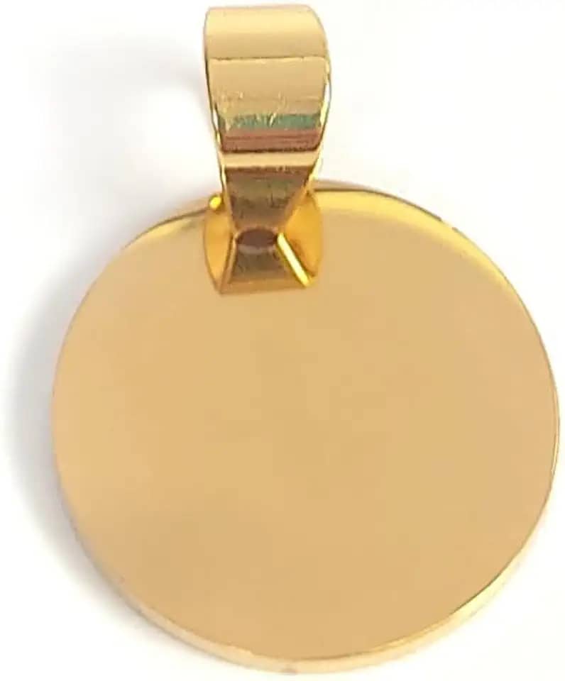 Plaquinha de Identificação Personalizável com Gravação a Laser para Cão ou Gato, Aço Inoxidável (Dourado)