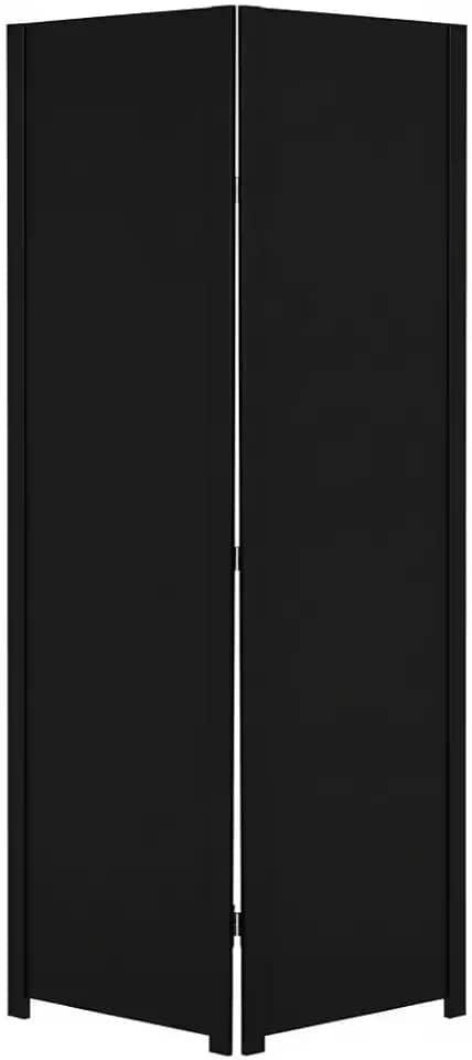Biombo Liso Sanfonado Com Dobradiça Fechado Pintado Divisor De Ambiente Preto ou Branco Jt Home (PRETO, 2 FOLHAS DE BIOMBO)