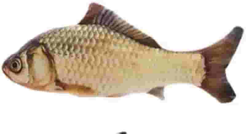 Peixe de Pelúcia Brinquedo de Gato com Zíper (Carpa)