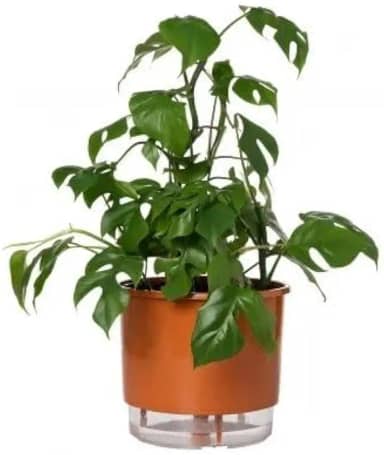 Vaso Autoirrigável Grande N04 21cm x 19cm - Terrazzo Terracota