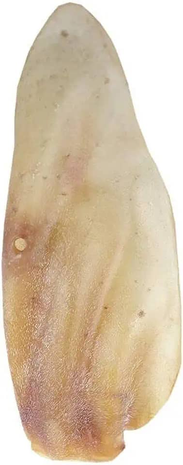 PET TREATS - 1 Petisco Natural Orelha Supremo