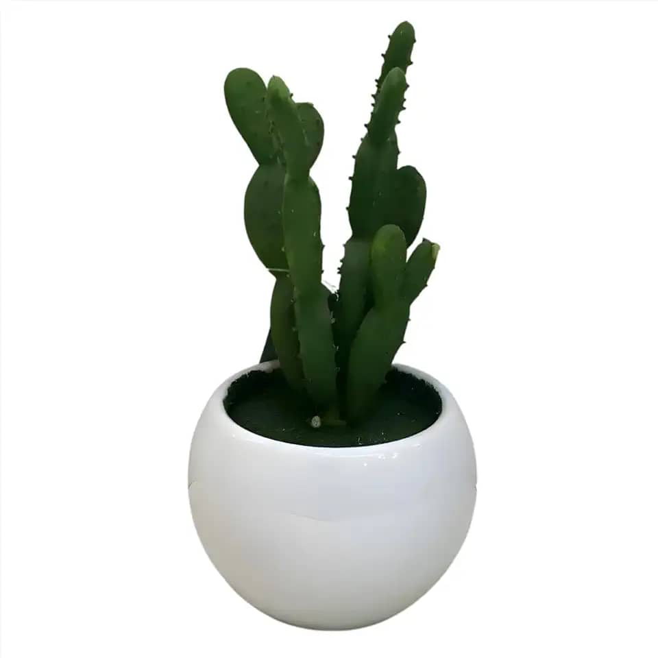 Decoração Vaso Planta Flores Artificiais Cactos Realista Pote Cerâmica 16Cm Pote De Ceramica 16 Cm Com Suculenta Cactus